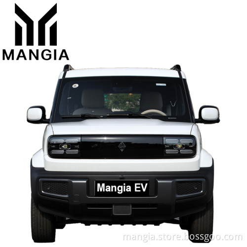 2023 New energy electric car Wuling Baojun Yep EV for sale mini SUV fully enclosed 4-wheel electric car